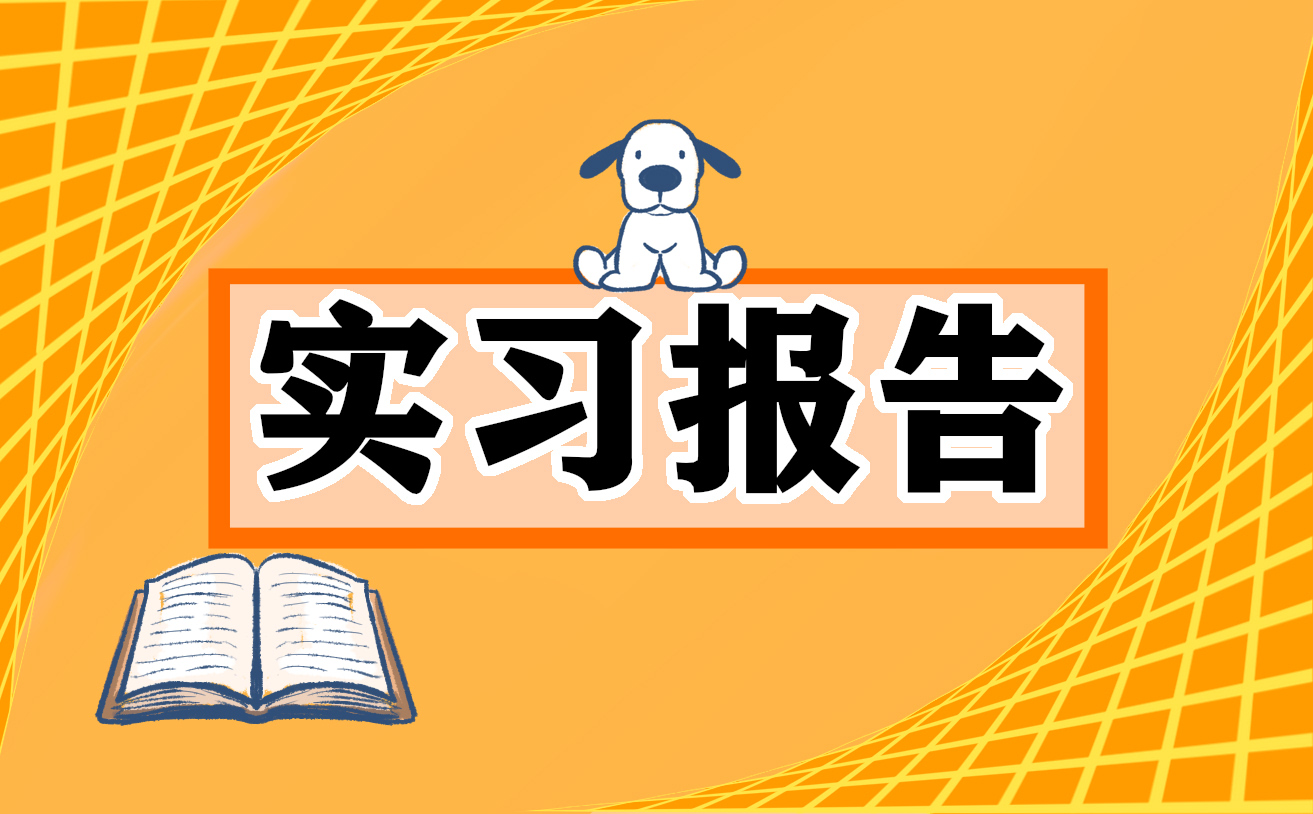 大学生实习报告3000字最新